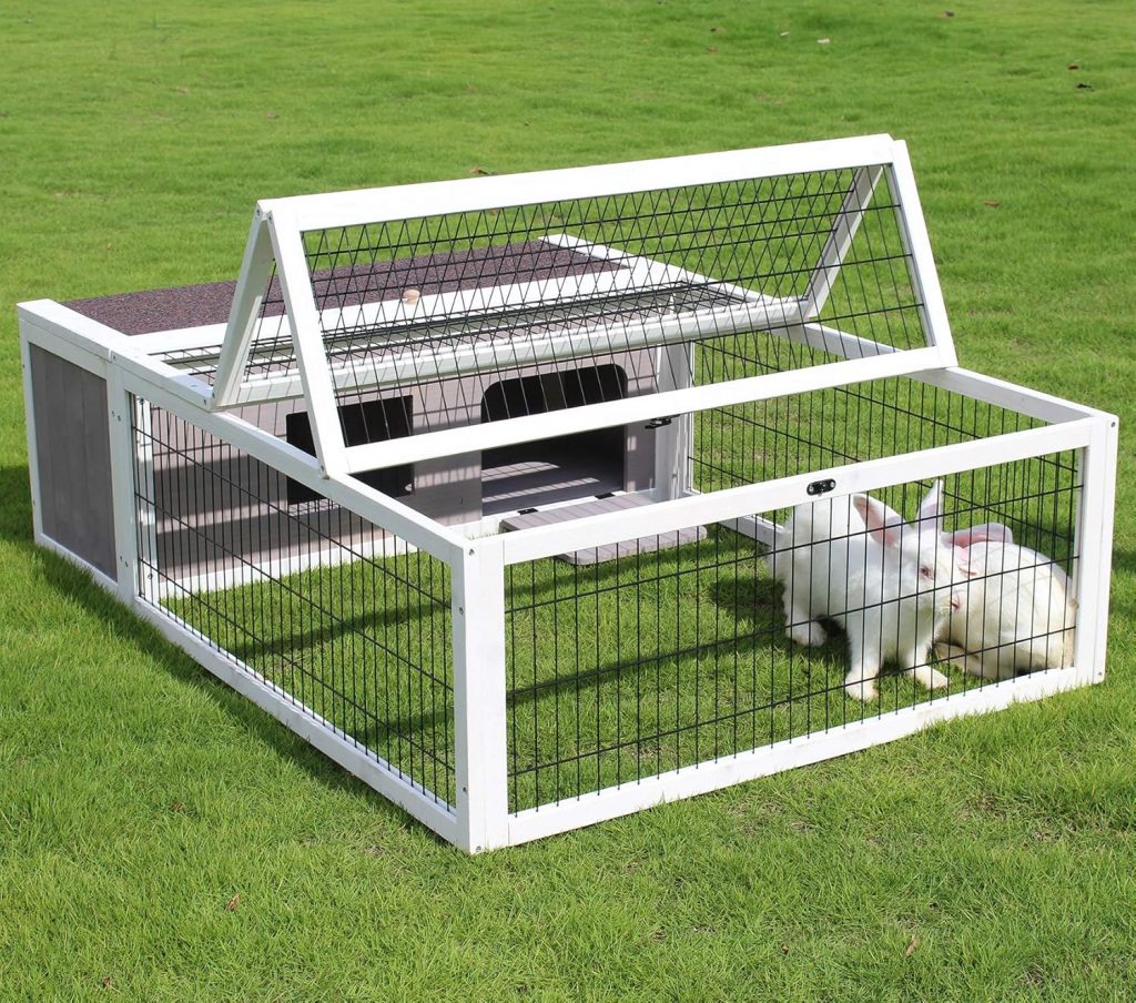 best rabbit hutch 2025 ROCKEVER tortoise house for small bunnies
